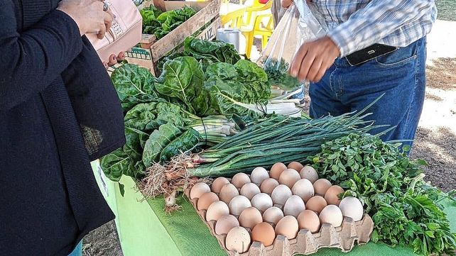 Emprendedores. Huerteros locales llevaron su producción para vender en la feria de alimentación saludable.