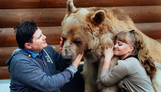 La increíble historia del oso adoptado que comparte la mesa y mira TV en el sofá