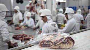 Por la Resolución 242/2025 la Secretaría de Agricultura, Ganadería y Pesca distribuyó la cuota Hilton de carne bovina, período 2025/2026