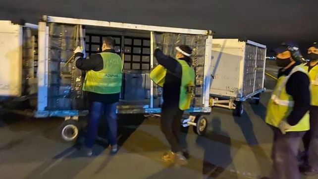 Llegaron de España respiradores donados por Messi a Rosario