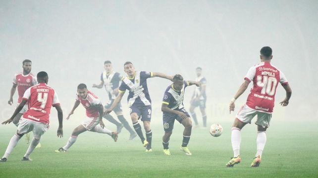 Parece que juegan en la neblina
