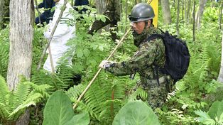 Asombra a Japón el niño de 7 años que sobrevivió solo seis días en un bosque