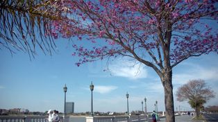 Feriado a pleno sol en la ciudad de Santa Fe