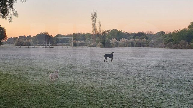 SMN: Las temperaturas estarán por debajo de lo normal hasta julio
