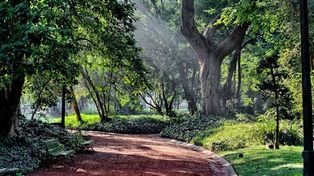 El proyecto de jardín botánico toma como ejemplos los espacios de Buenos Aires y Córdoba.&nbsp;