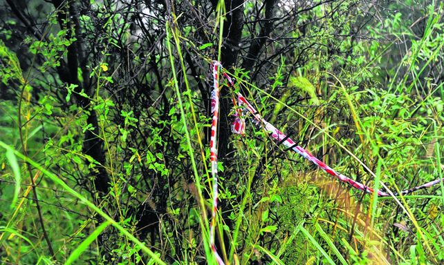pavoroso. En este paraje de Campo 6 Robles fue hallado el cadáver de Micaela García