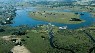 Organizaciones ecologistas del país piden que se apruebe la “Ley de Humedales”