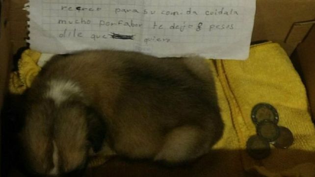 La obligaron a abandonar a su perrita y la dejó con una carta y ocho pesos