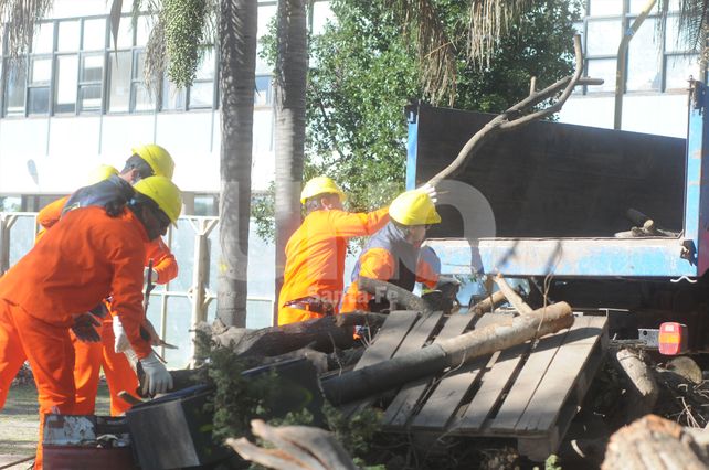 Manifestantes cortaron Avenida Rivadavia por el inicio de obras en el Parque Alberdi