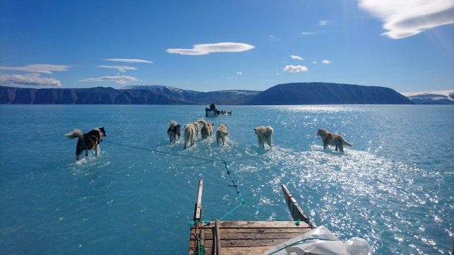 El cambio climático podría llevar a una gran catástrofe a la humanidad si no se toman urgentes medidas.