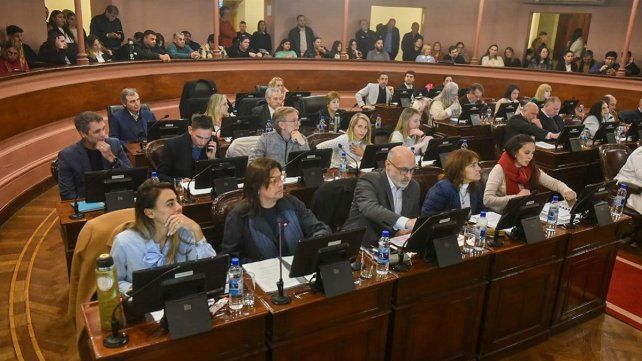 La Cámara de Diputados convirtió en Ley la creación de OSER.&nbsp;