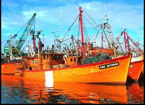 Naufragio en Mar del Plata deja tres muertos y dos desaparecidos