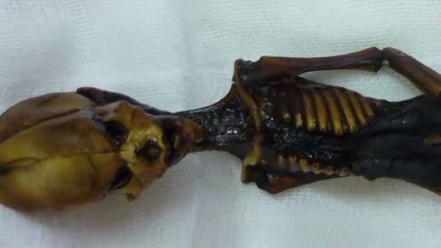 El gran descubrimiento y misterio sobre un supuesto alien
