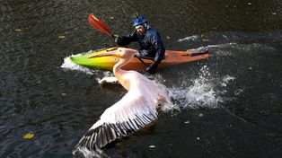 El día en imágenes alrededor del mundo
