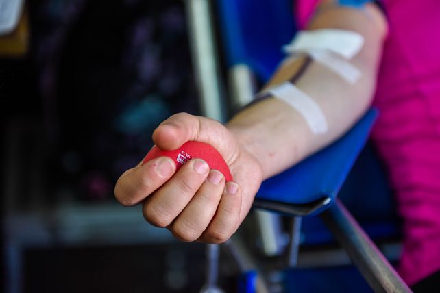 Los requisitos para donar sangre son simples y de fácil cumplimiento.
