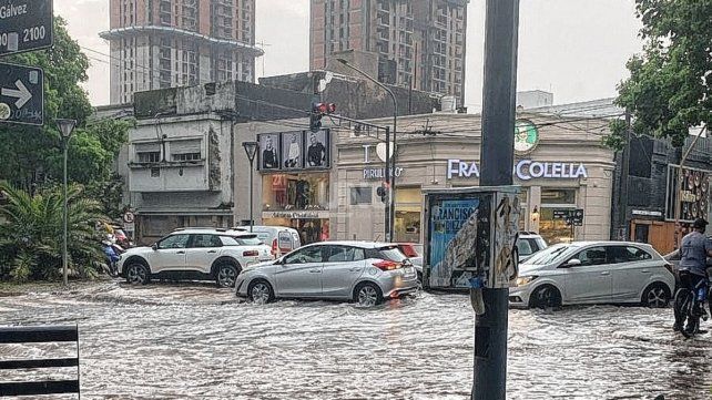Árboles caídos, calles inundadas y cortes de luz por el fuerte temporal en Santa Fe