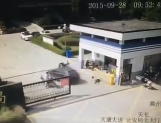 El auto que conducía el desaprensivo conductor ingresó a la seccional a toda velocidad.