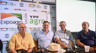 En Santa Fe estiman que las pérdidas por sequía llegarían a 3.500 millones de dólares.