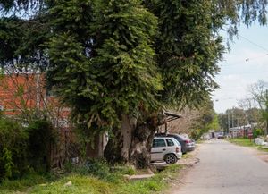 Crimen en la zona sur: asesinaron de un balazo a un chico de 14 años