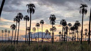 Inauguran una muestra por el 60° aniversario del parque nacional El Palmar