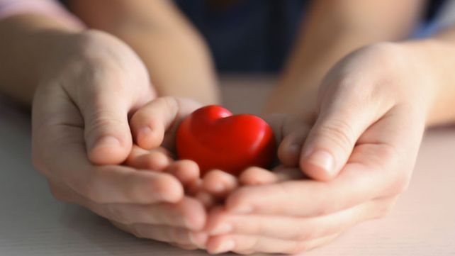 En total se anotaron 266 familias de todo el país para adoptar a las tres hermanas santafesinas