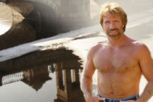 Quieren llamar a un puente Chuck Norris