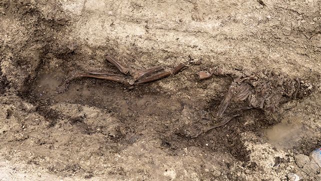 Excavaban un túnel ferroviario en Londres y realizaron un excepcional hallazgo arqueológico