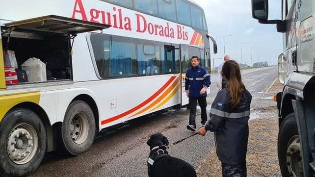 Incautaron gran cantidad de mercadería con diversas infracciones
