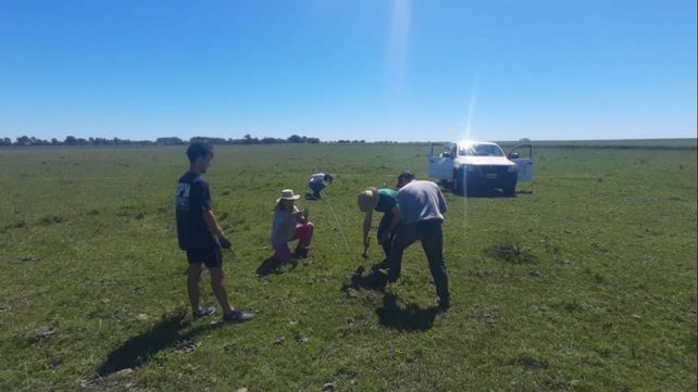 La imagen muestra a Druille y colaboradores realizando mediciones en un pastizal de la Pampa Deprimida. En este sistema