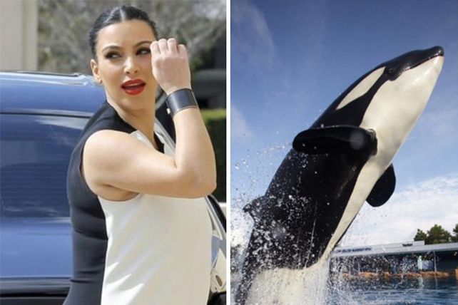 Personas, animales y objetos que son similares entre sí