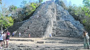 Secretos en la selva