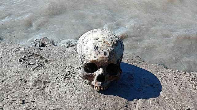 Macabro hallazgo en Sauce Viejo: encuentran un cráneo y restos óseos en la costa del río Salado Macabro hallazgo en Sauce Viejo: encuentran un cráneo y restos óseos en la costa del río Salado