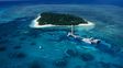 Hallan restos de herbicidas y medicamentos en las tortugas de la gran barrera de coral