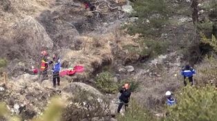 Una pareja de argentinos falleció en el Airbus que se estrelló hoy en los Alpes franceses