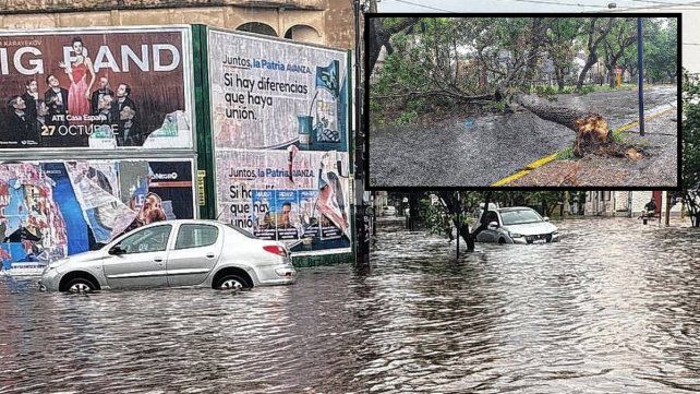 Árboles Caídos, Calles Inundadas Y Cortes De Luz Por El Fuerte Temporal ...