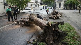La tormenta del miércoles 5 de febrero en Rosario fue la peor de los últimos seis años.&nbsp;