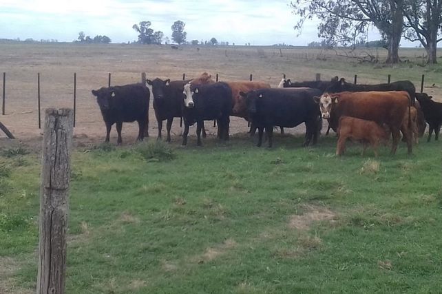 hospital de niños orlando alassia