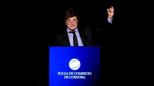 Milei pidió a los ahorristas: Saquen los dólares del colchón