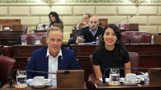 Los diputados Rubén Giustiniani y Agustina Donnet (bloque Igualdad) reclamaron al Poder Ejecutivo por la ley de reforma policial