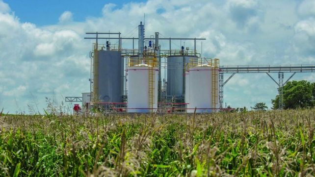 Biocombustibles: sin prórroga de la ley, advierten que habrá cierres masivos de industrias