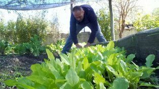 Prohuerta nació en 1990, en un marco de crisis por un colapso en el abastecimiento alimentario para los sectores más vulnerables.