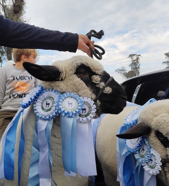 ExpoVenado 2025: el ritual político donde el campo reclama y el gobierno responde