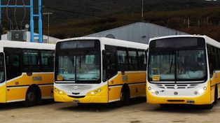 Empresarios reclaman que el boleto común suba a 5 pesos