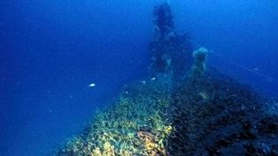 Un buzo halló un submarino inglés hundido en 1943 en Cerdeña