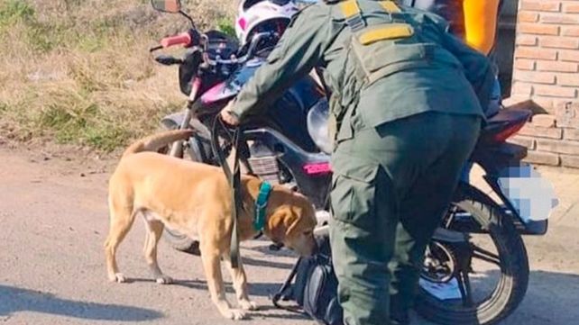 Por primera vez incautan fentanilo en Entre Ríos