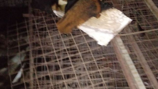 Se incendió el galpón de carrozas de la comparsa Mari Mari