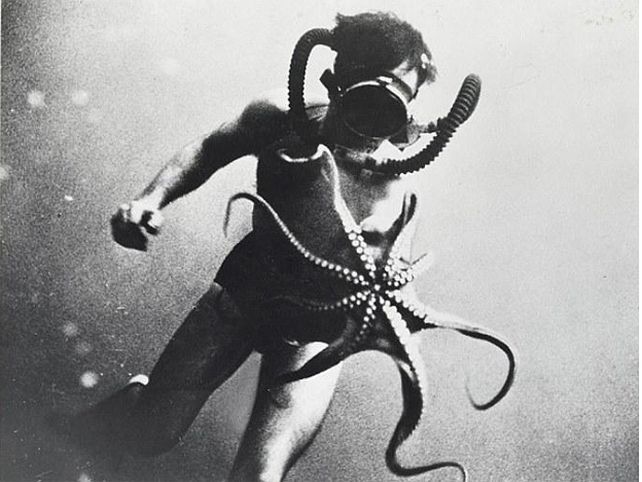 16 fotos para celebrar los 125 años de National Geographic