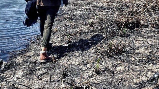 Incendios en humedales: un estudio del Conicet en Santa Fe advierte sobre efectos tóxicos que persisten tras el fuego