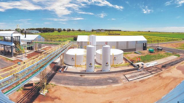 El Senado fue escenario de un fuerte debate sobre la nueva ley de biocombustibles.