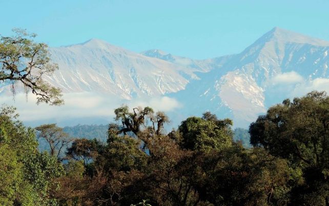 Nace el Parque Nacional Aconquija y obtiene media sanción la creación del Parque Nacional Ciervo de los Pantanos